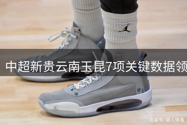中超新贵云南玉昆7项关键数据领跑 亚冠梦想加速实现