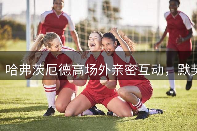 哈弗茨厄德高场外亲密互动，默契配合助枪手进攻升级