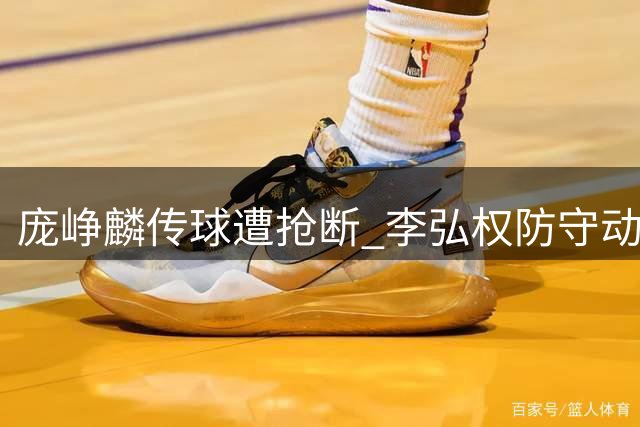 庞峥麟传球遭抢断 李弘权防守动作过大被判违体