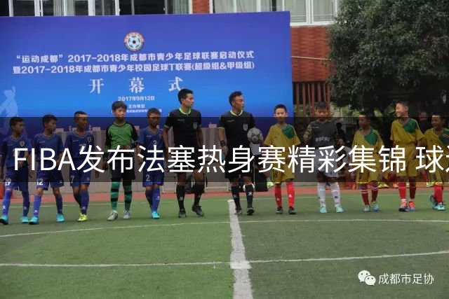 FIBA发布法塞热身赛精彩集锦 球迷热议马刺掘金既视感